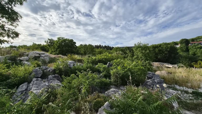 Rocky hillside landscape with lush green vegetation, trees, and scattered boulders under a partly cloudy sky