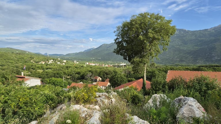 Scenic mountain valley landscape with a solitary tree, white rocks, green hillsides, and scattered houses with orange roofs