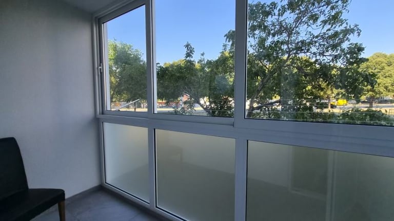 Modern office interior with frosted glass door panels and windows overlooking green trees and park area on a sunny day