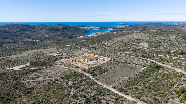 Aerial view of a rural property with red buildings surrounded by olive groves and Mediterranean landscape overlooking a blue coastline