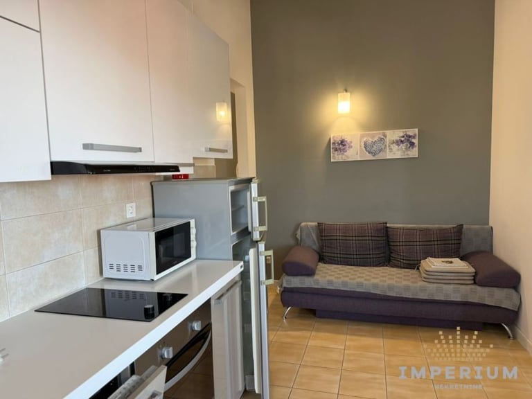 Modern studio apartment showing compact kitchen with white cabinets and brown sofa in living area with wooden floor