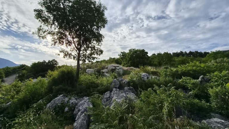 Scenic landscape with rocky outcrop, tall tree, and lush green vegetation under cloudy sky with distant mountains and river valley